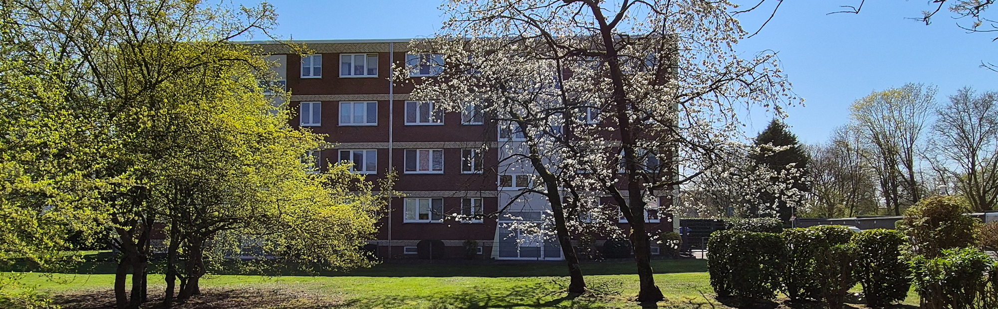 Schmelzing 61 - Mehrfamilienhaus mit 8 Wohneinheiten