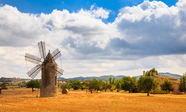 Inselmitte - Alaro | Ariany | Algaida | Consell | Llubi | Montuiri | Manacor | Petra | Selva | Sineu |Sencelles | Vilafranca